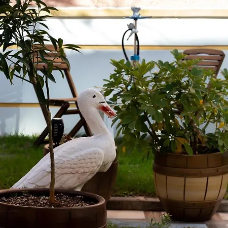 Hotel Fatma Sultan Oldtown & Restaurant